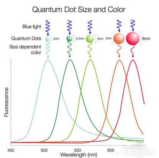 浅谈LCD/量子点/OLED三种液晶技术对比谁更牛